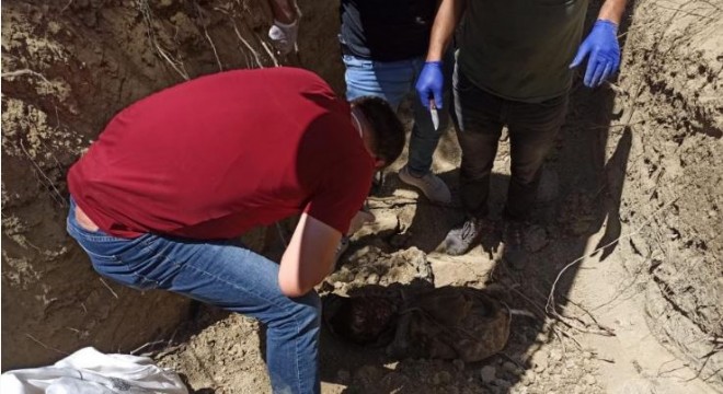 PKK içinde infazlar sürüyor